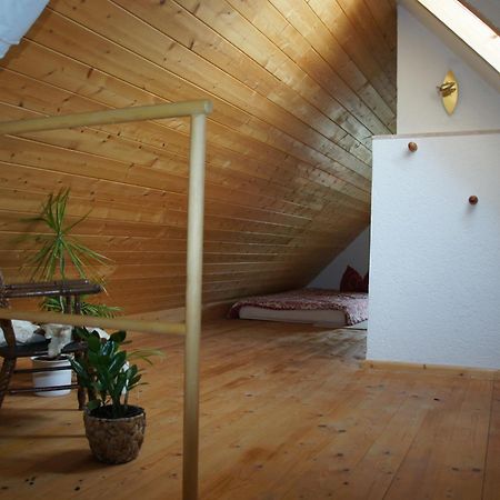 Schwalbennest Kaisitz Apartment Ngoại thất bức ảnh