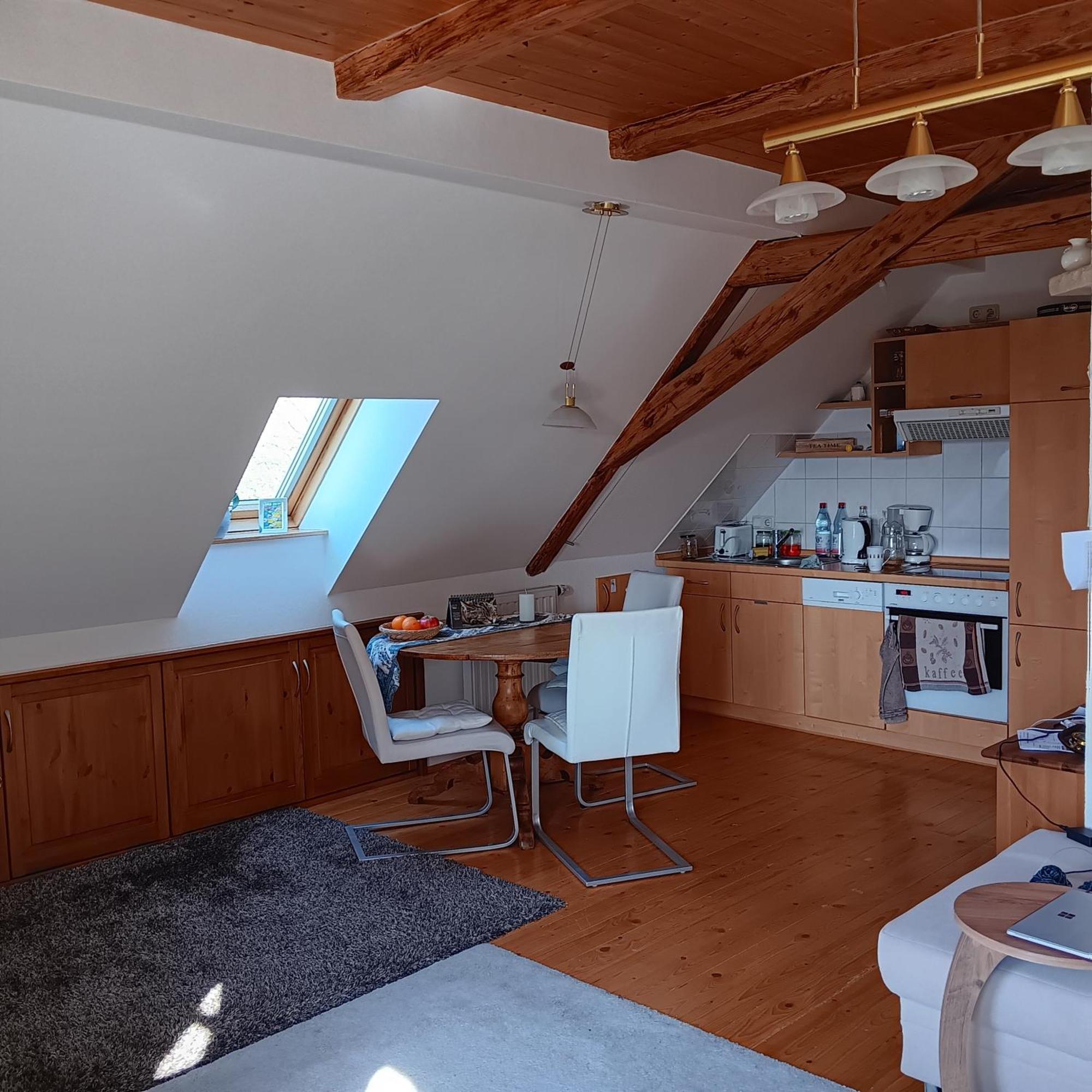 Schwalbennest Kaisitz Apartment Ngoại thất bức ảnh
