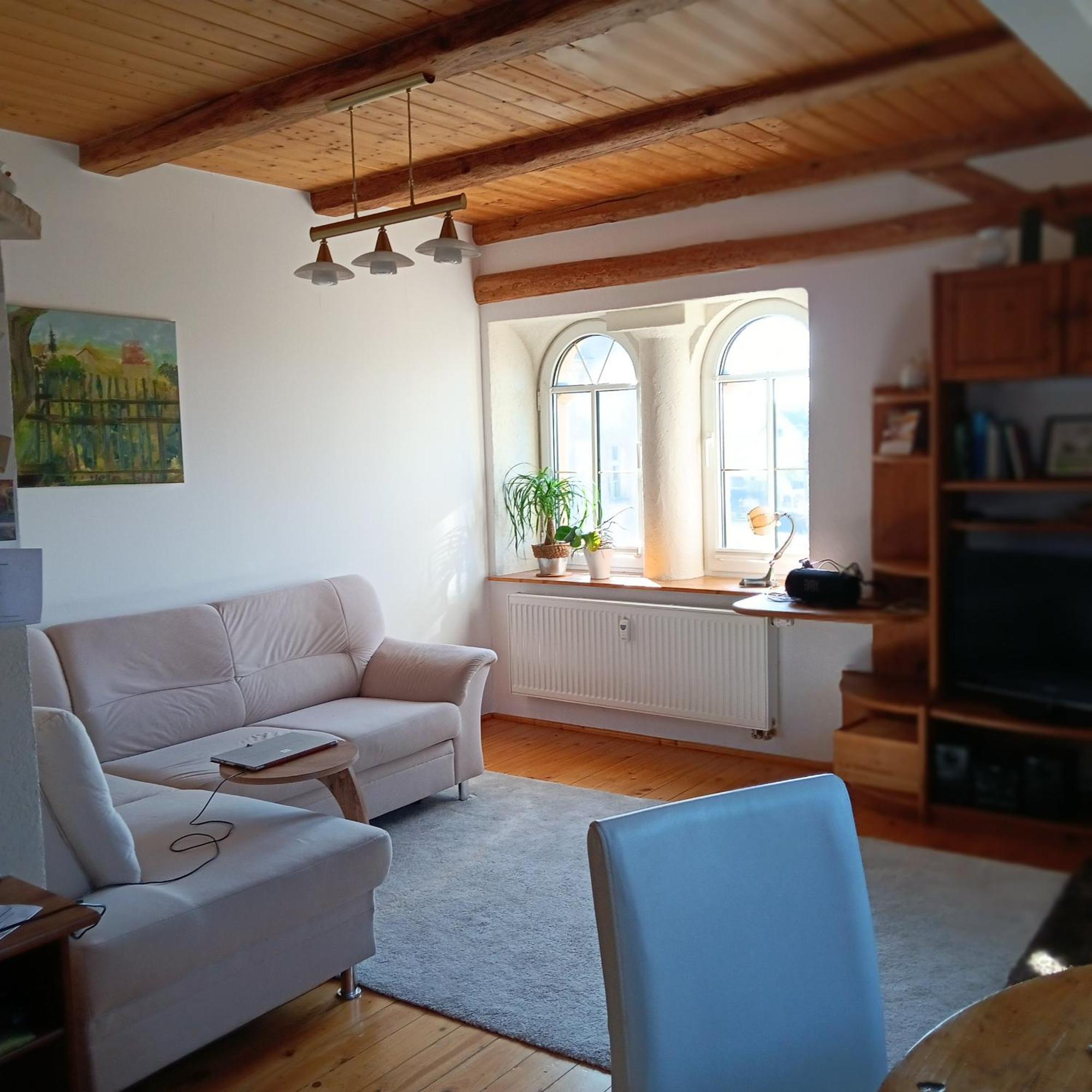 Schwalbennest Kaisitz Apartment Ngoại thất bức ảnh